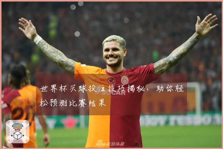 世界杯买球投注技巧揭秘，助你轻松预测比赛结果