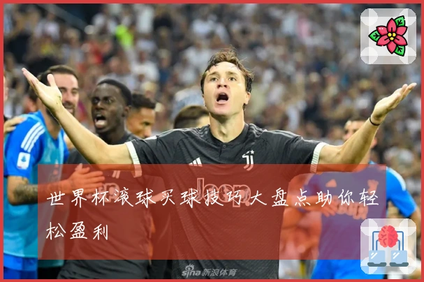 世界杯滚球买球技巧大盘点助你轻松盈利