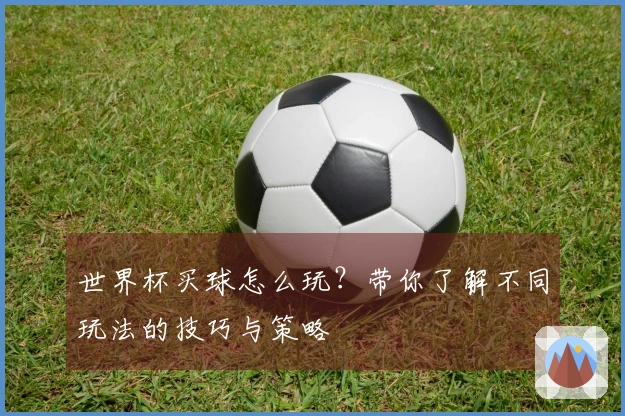 世界杯买球怎么玩？带你了解不同玩法的技巧与策略