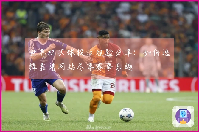世界杯买球投注经验分享：如何选择靠谱网站尽享赛事乐趣