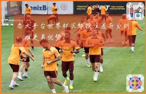 各大平台世界杯买球投注差异分析，谁更具优势？