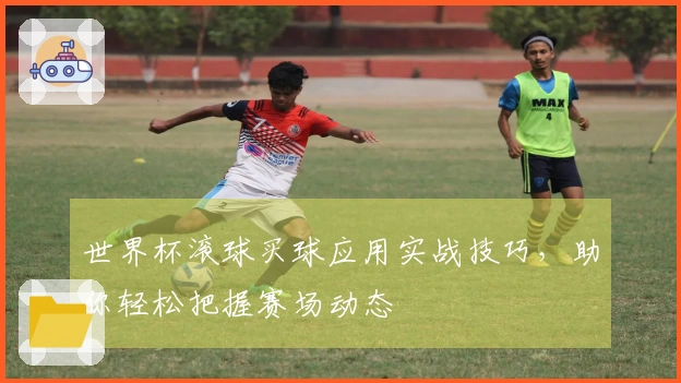 世界杯滚球买球应用实战技巧，助你轻松把握赛场动态