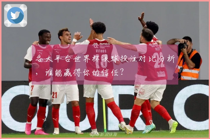 各大平台世界杯滚球投注对比分析，谁能赢得你的信任？