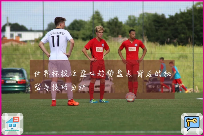 世界杯投注盘口趋势盘点 背后的秘密与技巧分析