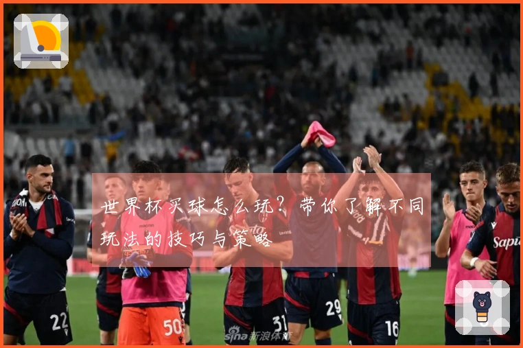 世界杯买球怎么玩？带你了解不同玩法的技巧与策略
