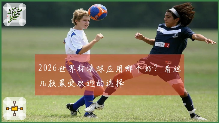 2026世界杯滚球应用哪个好？看这几款最受欢迎的选择