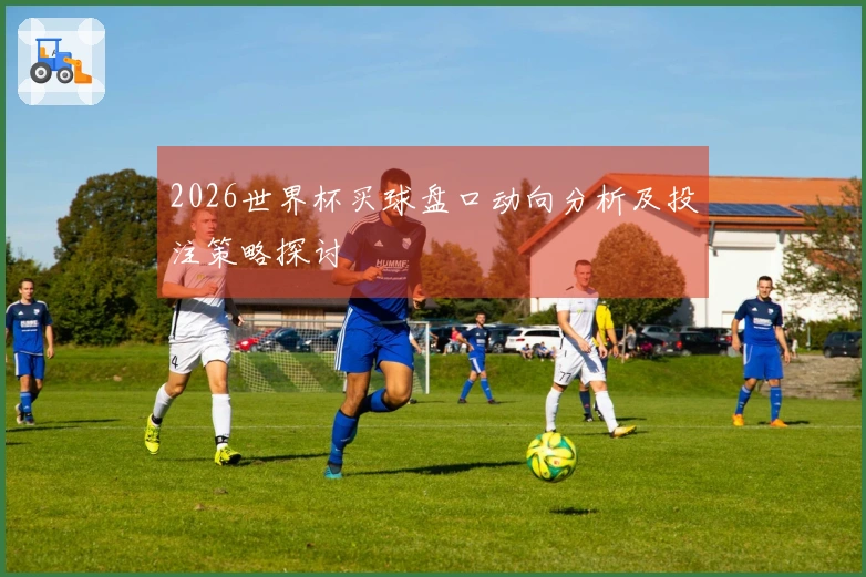 2026世界杯买球盘口动向分析及投注策略探讨