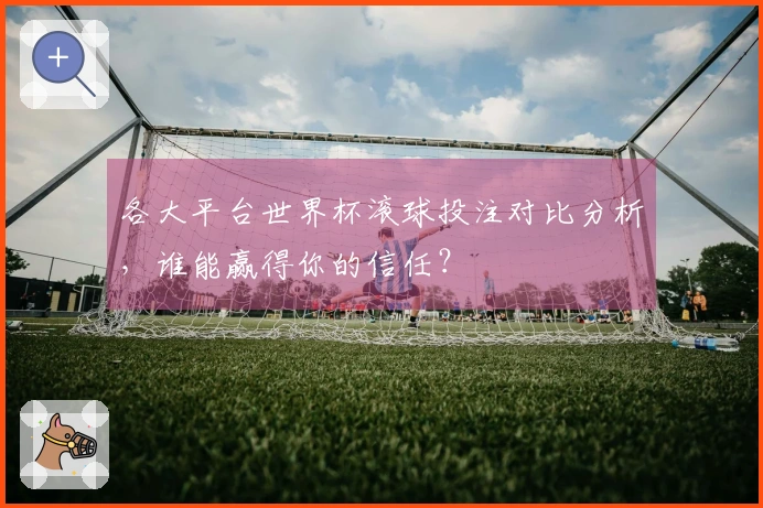 各大平台世界杯滚球投注对比分析，谁能赢得你的信任？