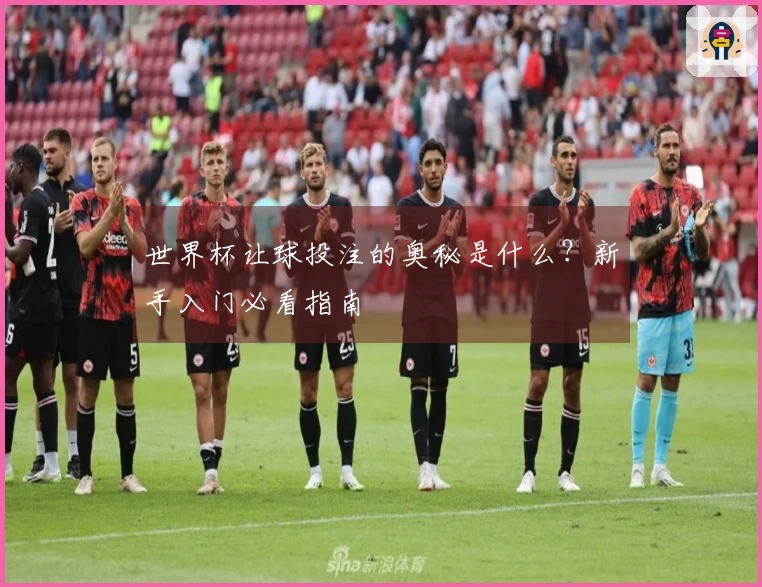 世界杯让球投注的奥秘是什么？新手入门必看指南