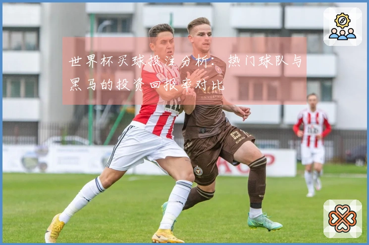 世界杯买球投注分析：热门球队与黑马的投资回报率对比
