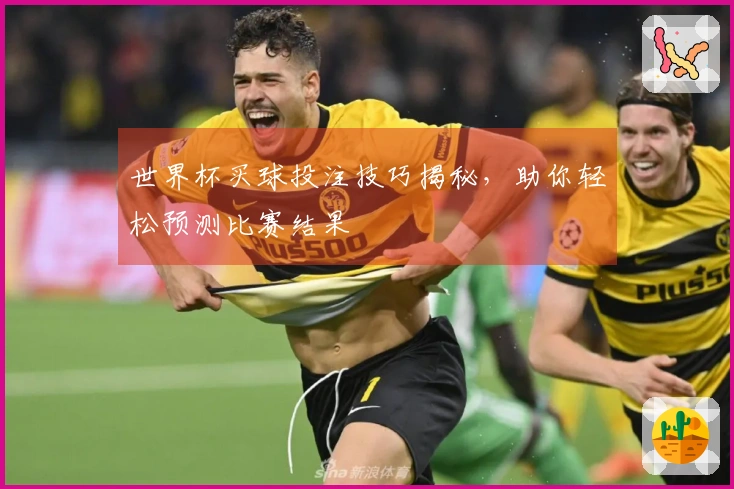 世界杯买球投注技巧揭秘，助你轻松预测比赛结果