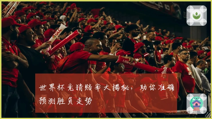世界杯竞猜赔率大揭秘，助你准确预测胜负走势
