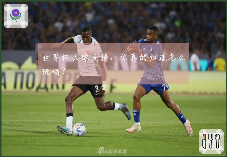 世界杯买球竞猜，你真的知道怎么玩吗？